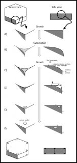 How the water molecules make corner pockets